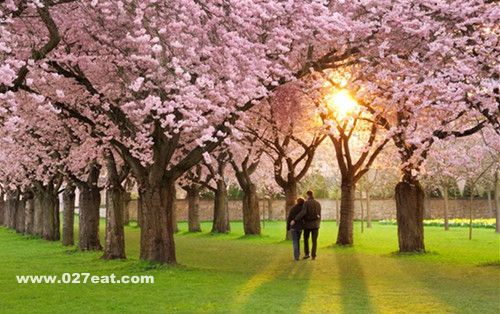 θ���õ��˳�ʲô�� ��θ��3��ǧ��Բ��� www.027eat.com