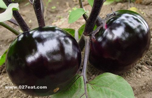 健康饮食小常识 腹泻时十八种食物要禁食 www.027eat.com