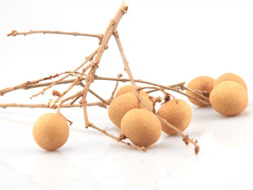 ���в��ܳ�ʲô ����9��ʳ��С������ www.027eat.com