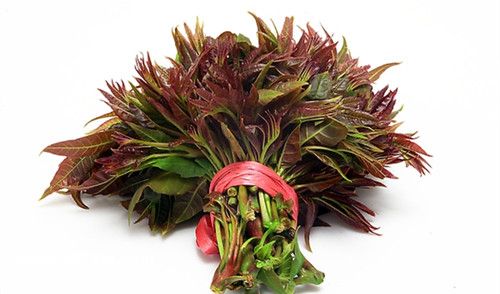 �㴻��Ӫ����ֵ �㴻����Щ��Ч www.027eat.com