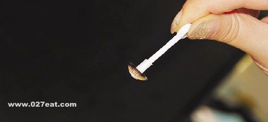 ����������25������ �����Ǽ٣� www.027eat.com