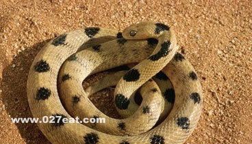 ����������25������ �����Ǽ٣� www.027eat.com