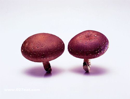 ��ʳ���ɣ��㹽��ʲôʳ����� www.027eat.com