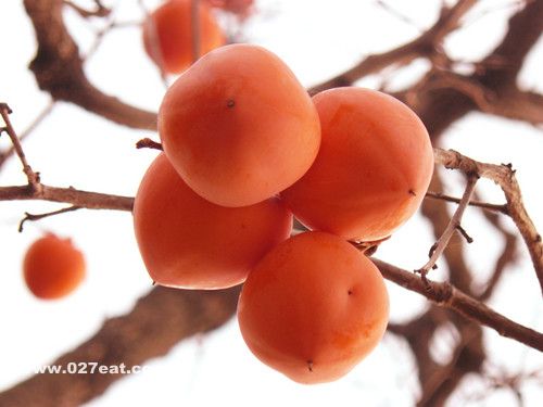 ��ʳ���� �����＾�����ӵ�12������ www.027eat.com