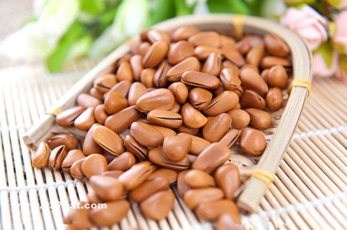 ���ӵ�Ӫ����ֵ www.027eat.com