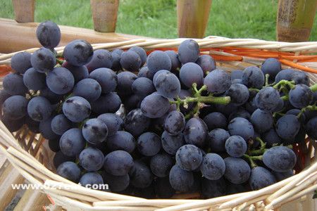 �＾��ʳҪע����Щ���� www.027eat.com