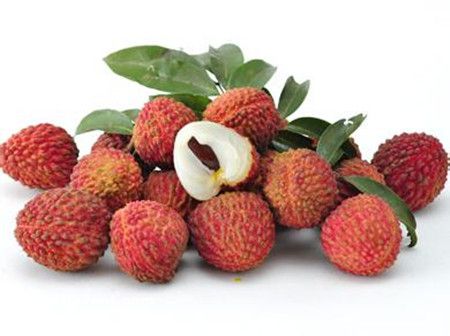 ��֦��ô�Բ��ϻ� ����֦���ϻ���ؾ� www.027eat.com