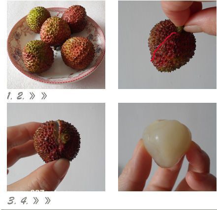 ��֦��ô�Բ��ϻ� ����֦���ϻ���ؾ� www.027eat.com