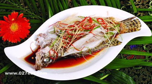 �����Ӫ����ֵ www.027eat.com