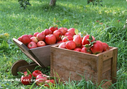 Ů��������13�ֱ���ʳ�� �������覴� www.027eat.com