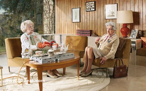 ���˶�����ʳС��ʶ www.027eat.com