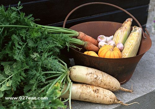 ���ܲ���Ӫ����ֵ www.027eat.com