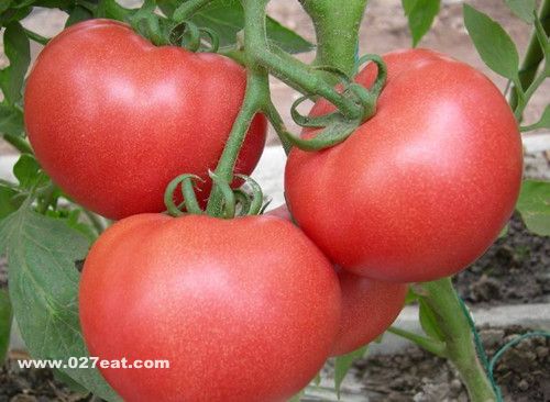 �̵��＾������ʳ�Ŵ���� www.027eat.com