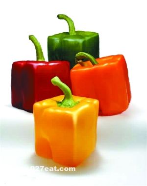 ת�����ʳƷ����Щ����μ���ת����ʳƷ�� www.027eat.com