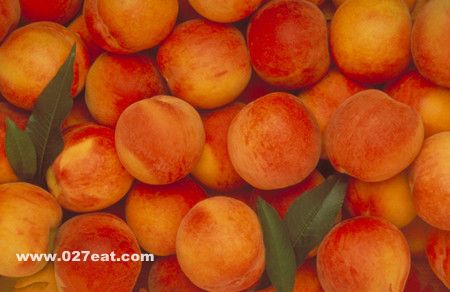 ���ӵ�Ӫ����ֵ www.027eat.com