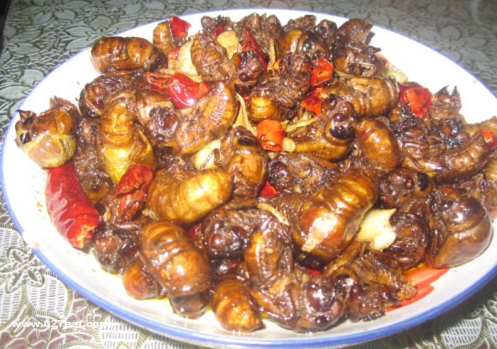 ֪�˵�Ӫ����ֵ www.027eat.com