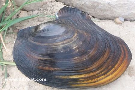 �Ӱ���Ӫ����ֵ www.027eat.com