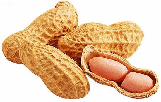 ������Ӫ����ֵ www.027eat.com