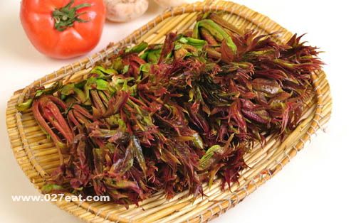 �㴻��Ӫ����ֵ www.027eat.com