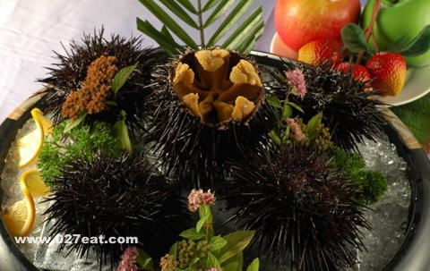 ������Ӫ����ֵ www.027eat.com