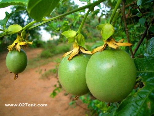 ��������Ӫ����ֵ www.027eat.com