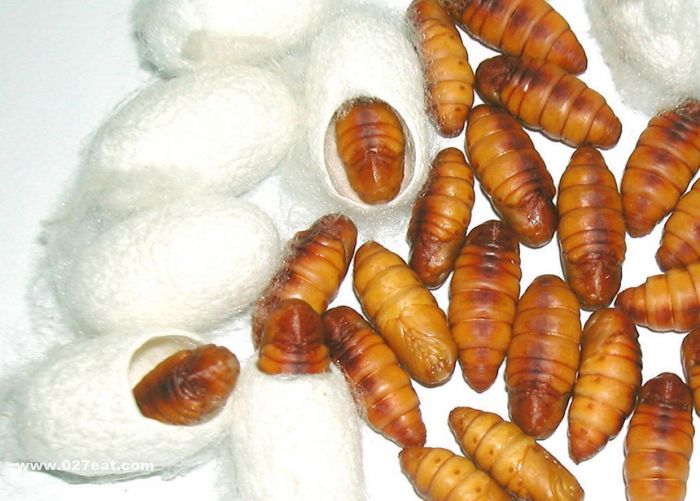 ��Ӽ��Ӫ����ֵ www.027eat.com