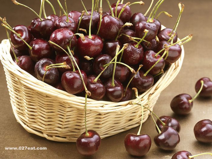 �����ӵ�Ӫ����ֵ www.027eat.com