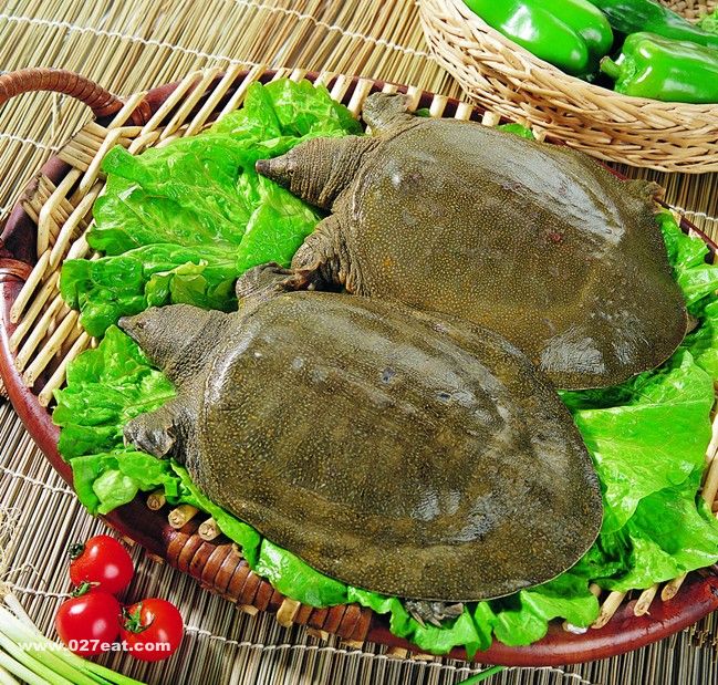 �����Ӫ����ֵ www.027eat.com