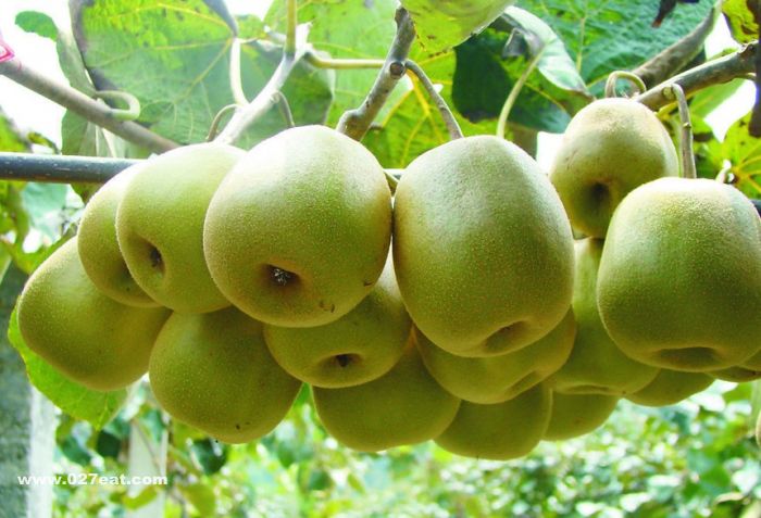 ⨺��ҵ�Ӫ����ֵ www.027eat.com