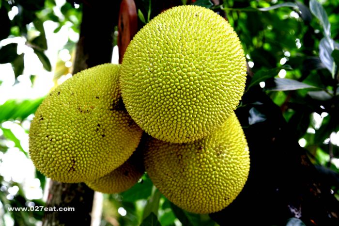 �����۵�Ӫ����ֵ www.027eat.com