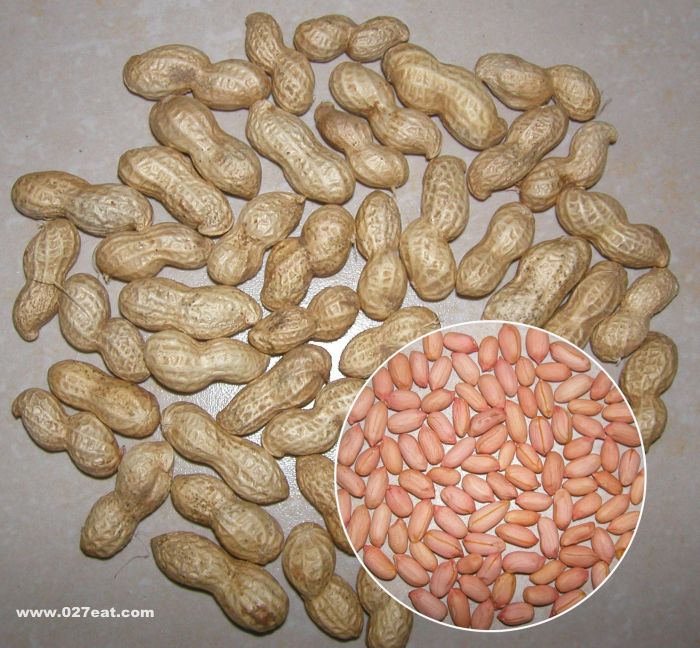 花生的营养价值 www.027eat.com