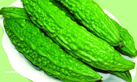 ������Ӫ������ �ļ����Ŷ� www.027eat.com