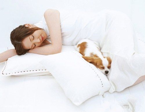 ʧ�߶��ε�ʳ�Ʒ�����ƫ�� www.027eat.com