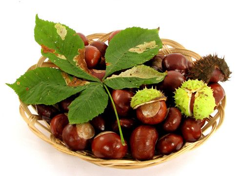 ��ǻ�����ʲô���� www.027eat.com