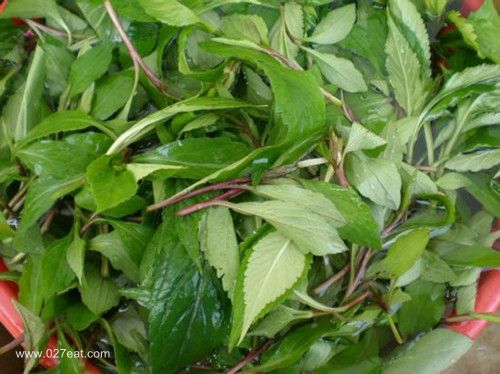 Ӥ�׶��ܳ������� ��˵Ĺ�Ч������ www.027eat.com