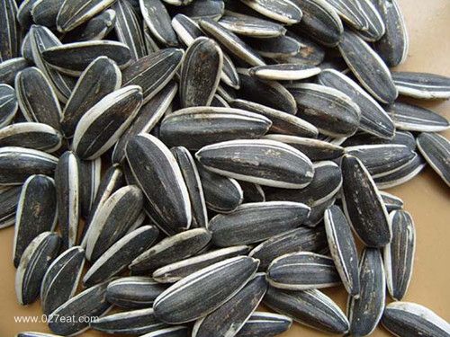 ���������������ڰ��������� www.027eat.com