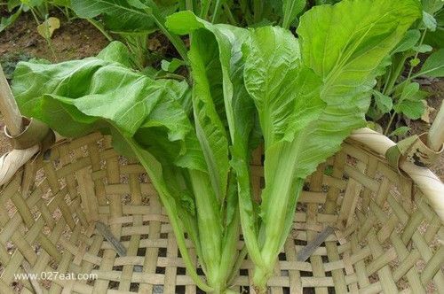 Ӥ�׶��ܹ�ʳ�ý���� www.027eat.com