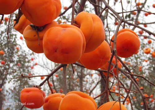 �и���ʳ �и���ʳ����Ҫ�μ� www.027eat.com