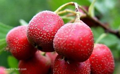 ɽ����������� �и�����ɿڵ�3��ʳ�� www.027eat.com