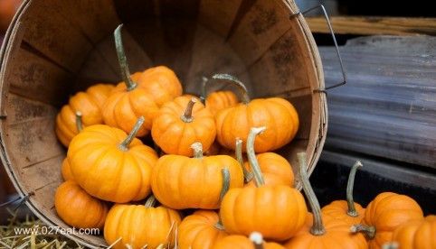 肾结石患者应该如何正确饮食 www.027eat.com