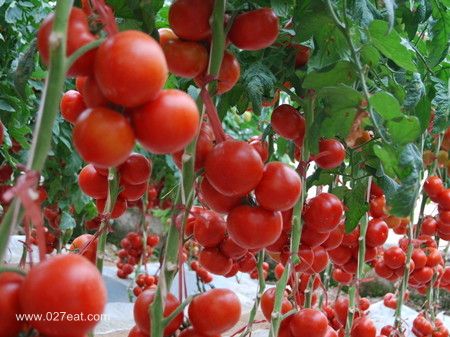 ���������ƿ�ǻ�����ʳ�Ʒ� www.027eat.com