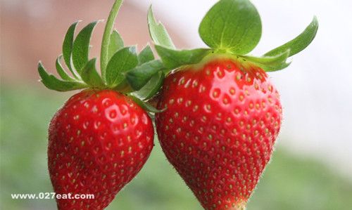 五大水果调理肠胃不适 www.027eat.com