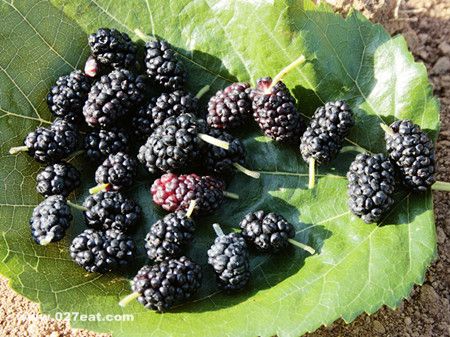 �����׷�������ɣ�� www.027eat.com