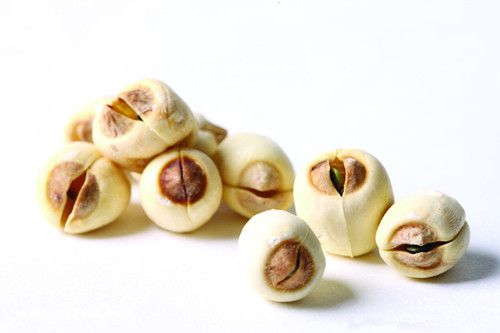 10��ʳ�� �������������อ www.027eat.com