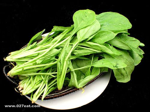 ��ɫʳ��������   ���ԣ�����ɫ�� �̲������� www.027eat.com