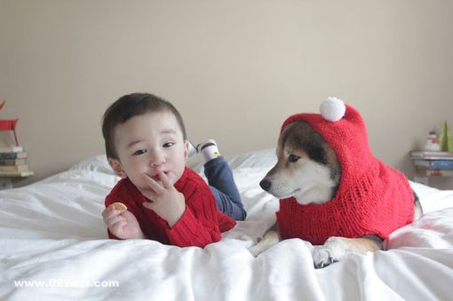 ��������ʳ��Ҫ�� www.027eat.com