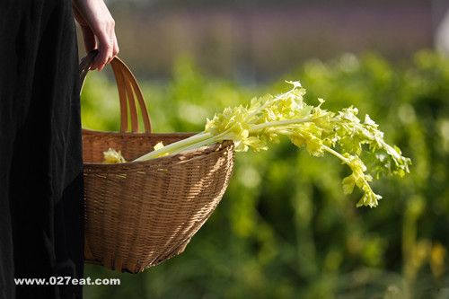 �ļ���Ѫѹ����ʳ ��Ѫѹ����������ʳ www.027eat.com