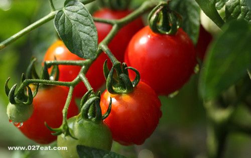 ����ʯ��ʳ4��Ҫ�������� www.027eat.com