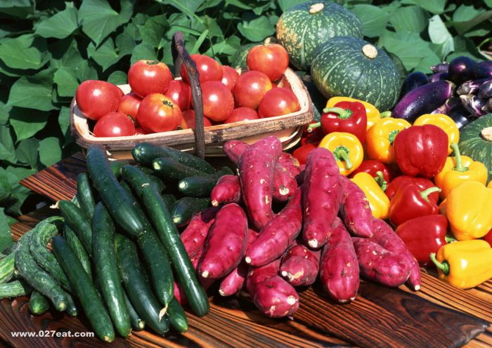 ��ʳ���벻�����ѷ� ���������Ѫ��ʳ�� www.027eat.com