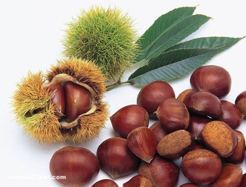 �����ӿ�Ԥ����ǻ���� www.027eat.com